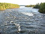 A medium-sized river rushes through rapids in the woods.