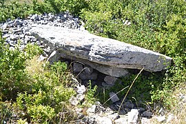 Dolmen de Coste Plane.