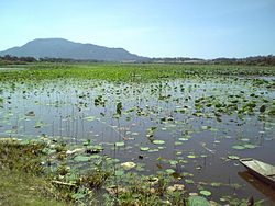 Sakata Lagoon