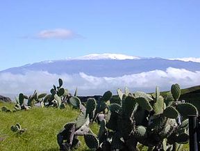 Die sneeubedekte piek van Mauna Kea, soos gesien vanuit die Kohala-berg