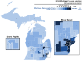 Support for Democratic Party candidates by district