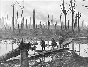 Tentera artileri Australia di Château Wood berdekatan Hooge, 29 Oktober 1917.