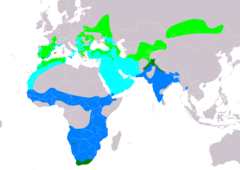 Distribución de Hieraaetus pennatus