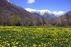 Spring landscape of the Cerdanya in Llívia.