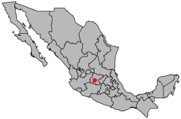 Irapuatos läge i Mexiko.