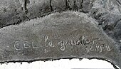 signature de Cel le Gaucher