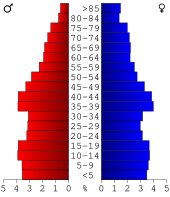 Bevolkingspiramide Pettis County