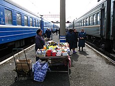 Almost every station on Trans-Siberian Railway has food sellers, often local vendors who sell local food such as fish (like Baikal omul), pirozhki, and potatoes. Besides food stands, there are also small kiosks