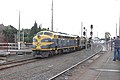 B74 leading T357 and X31 on Seymour Railway Heritage Centre's charter to Geelong celebrating B74's 65th anniversary on entering service