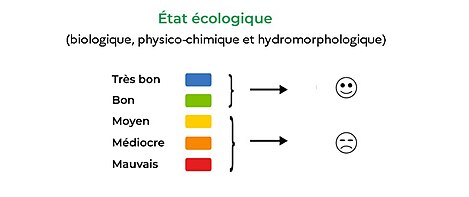 Les classes d'état écologique des masses d'eau de surface