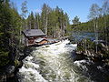 Národný park Oulanka