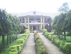 Municipal hall