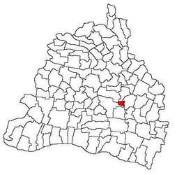 Location in Dolj County