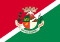 Bandeira de Baixo Guandu