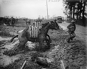 第一次世界大戦で兵站に用いられたラバが野砲の弾薬を運ぶ様子