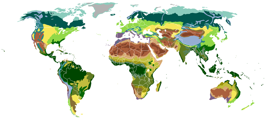 Biomes classified by vegetsert