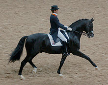 Edward Gal mit Gribaldi, Weltcupfinale 2007, Las Vegas