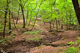 Naturschutzgebiet Rheinbachtal