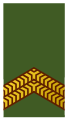 Korporaal der 1e klasse (Royal Netherlands Army)[10]