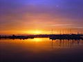 Twilight at Port Edgar