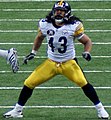 Troy Polamalu Defensive back