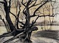 A drawing of gnarled black tree roots
