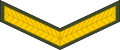 Lance corporal (Lesotho Army)[31]