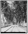 Cemetery Avenue approach to the gate (1905)