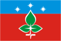 Flagget til Pusjtsjino