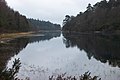 replacing Llyn Parc looking south.jpg