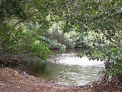 Everglades Florida