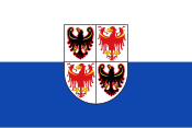 Flag faan't regiuun Trentino-Süüdtirool