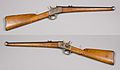 Swedish cavalry carbine m/1870