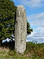 Le menhir de Kergornec.