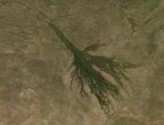 le delta de l'Okavango