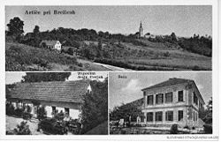 Postcard of Artiče