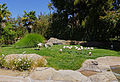 Flamingos at the main entrance