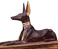 Anubis als jakhals