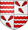 Blason de Froidchapelle