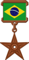 Medalje Brazili
