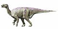 Huidige visie op de houding van Iguanodon: horizontaal en facultatief viervoetig; de iguanodon als zichzelf