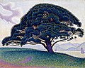 Paul Signac, Pinie, 1893