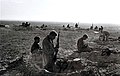 Image 23Israeli troops preparing for combat in the Sinai peninsula during the Suez Crisis. (from 1950s)