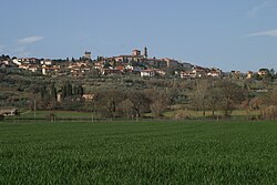 Panorama