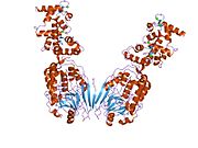 2p6b​: Kristalna struktura ljudskog kalcineurina u kompleksu sa PVIVIT peptidom