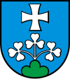 Wappen von Murgenthal