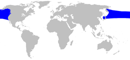 Área de distribución de Mesoplodon stejnegeri
