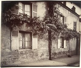 Glycine à Châtillon, 1919-1921 par Eugène Atget