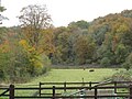 A field at Baker's Mill in the Golden Valley, Gloucestershire