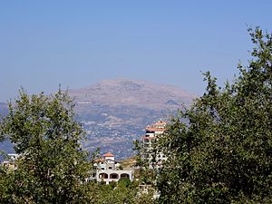 Aley District